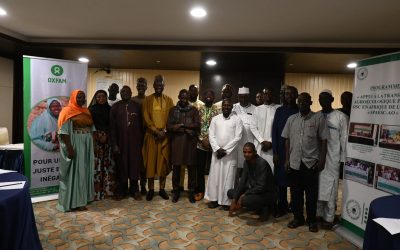 Atelier d’élaboration de la stratégie nationale de plaidoyer de Raya Karkara