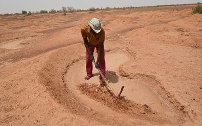 Le projet de « Systèmes Alimentaires Inclusifs et Résilients (S.A.I.R NAZARI) »